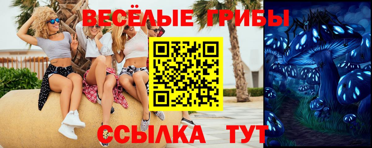 Галлюциногенные грибы Cubensis  Вход с VPN  Урюпинск 