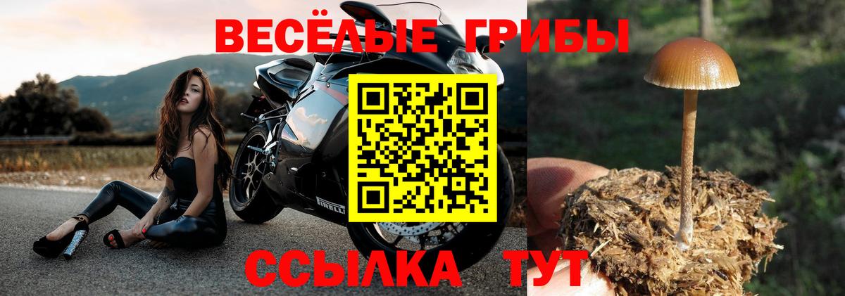 Псилоцибиновые грибы GOLDEN TEACHER Урюпинск